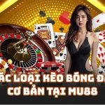cac loai keo bong da mu88 1