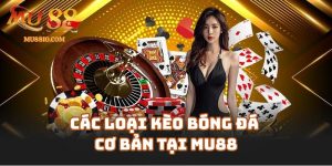 cac loai keo bong da mu88 1