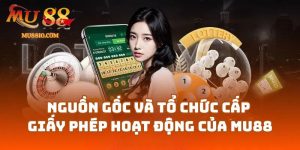 giay phep hoat dong cua mu88 2